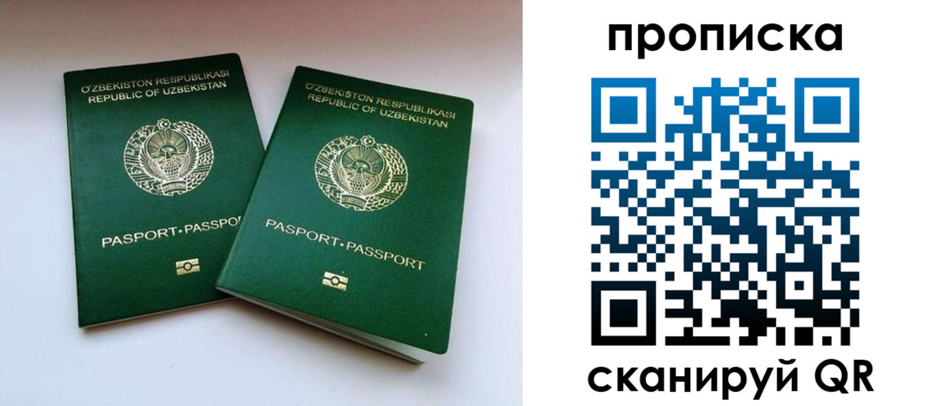 прописка поиск в Воронежской области